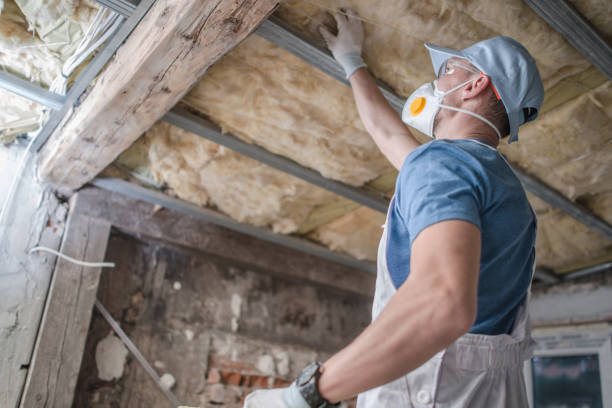 Best Geographic-Specific Insulation Services in Centuria, WI