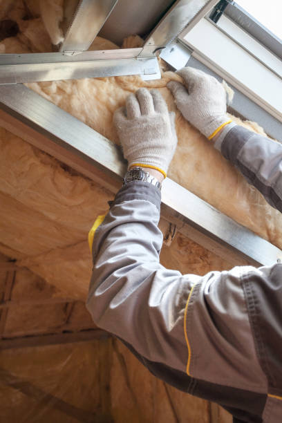 Best Insulation Maintenance and Repair in Centuria, WI